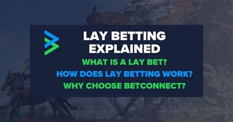 lay bet explained|what is a lay bet.